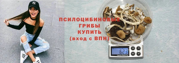 хмурый Верхний Тагил